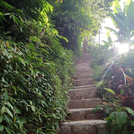 Jungleadventure Cabin Camping Bedugul  Exterior foto